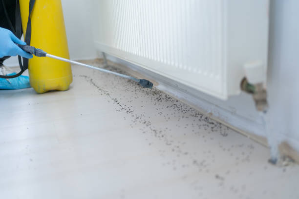 Best Best Pest Control Companies  in Keeler Farm, NM
