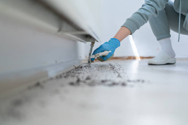 Best Wildlife Control Services  in Keeler Farm, NM